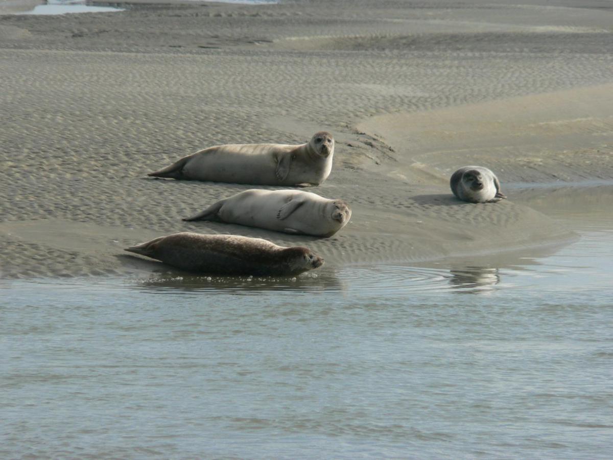 Logis Hotel & Restaurant "Au Gre Du Vent" Berck 外观 照片